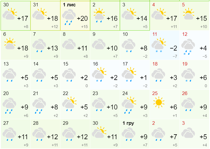 Еще тепло или уже морозы? Какая будет погода в ноябре 2023